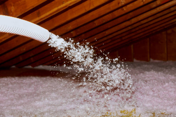 Best Insulation Installation Services in Leavittsburg, OH